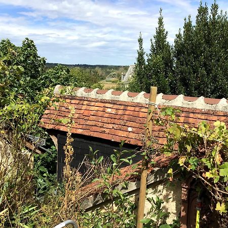 La Maison Bleue De Husseau Ancienne Ferme Semi-Troglodytique 18E Siecle Villa มงต์ลุยส์-ซูร์-ลัวร์ ภายนอก รูปภาพ
