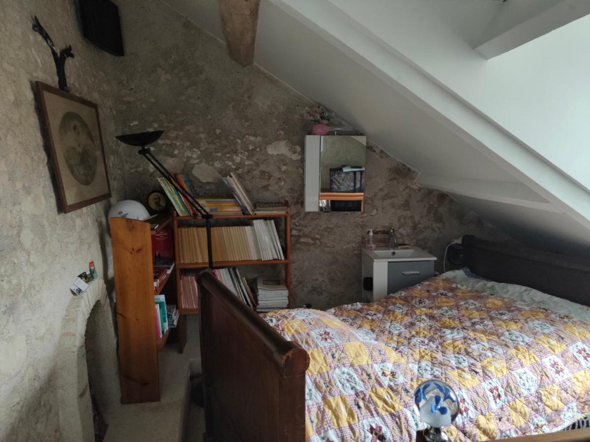 La Maison Bleue De Husseau Ancienne Ferme Semi-Troglodytique 18E Siecle Villa มงต์ลุยส์-ซูร์-ลัวร์ ภายนอก รูปภาพ