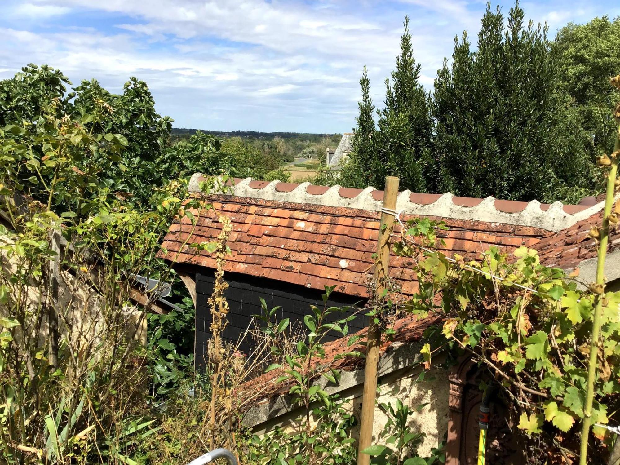 La Maison Bleue De Husseau Ancienne Ferme Semi-Troglodytique 18E Siecle Villa มงต์ลุยส์-ซูร์-ลัวร์ ภายนอก รูปภาพ