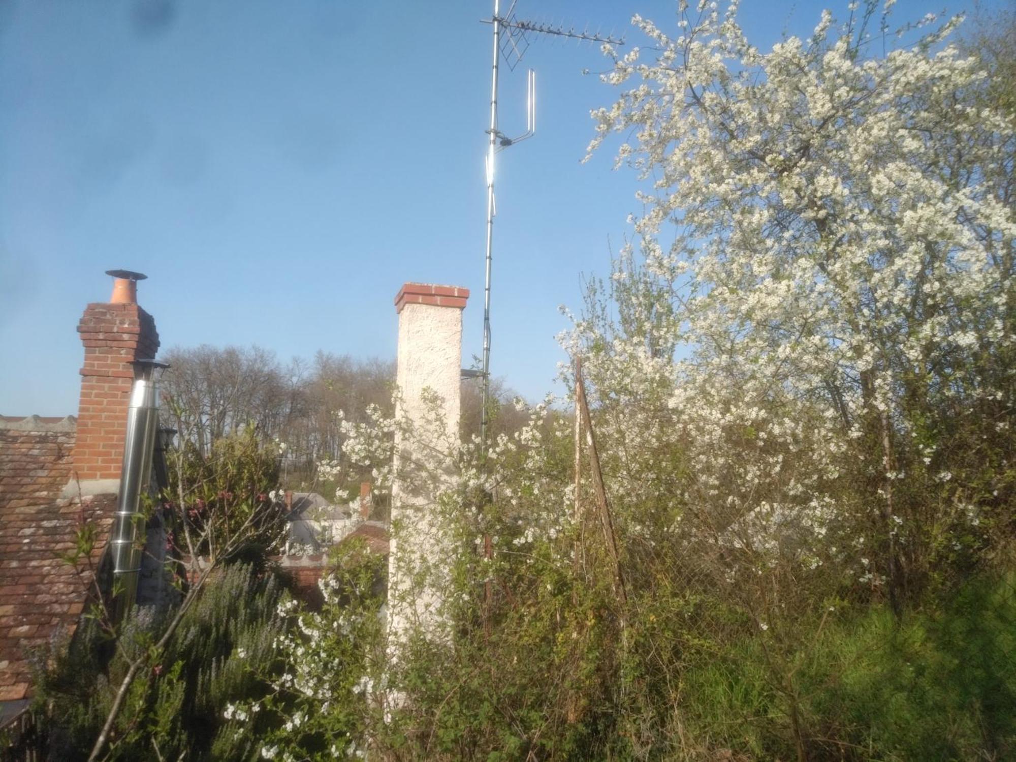 La Maison Bleue De Husseau Ancienne Ferme Semi-Troglodytique 18E Siecle Villa มงต์ลุยส์-ซูร์-ลัวร์ ภายนอก รูปภาพ